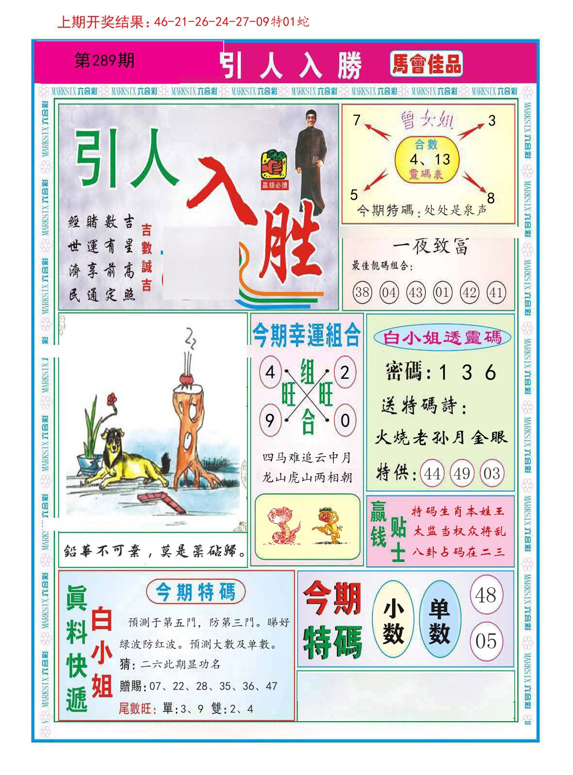 引人入胜 第289期