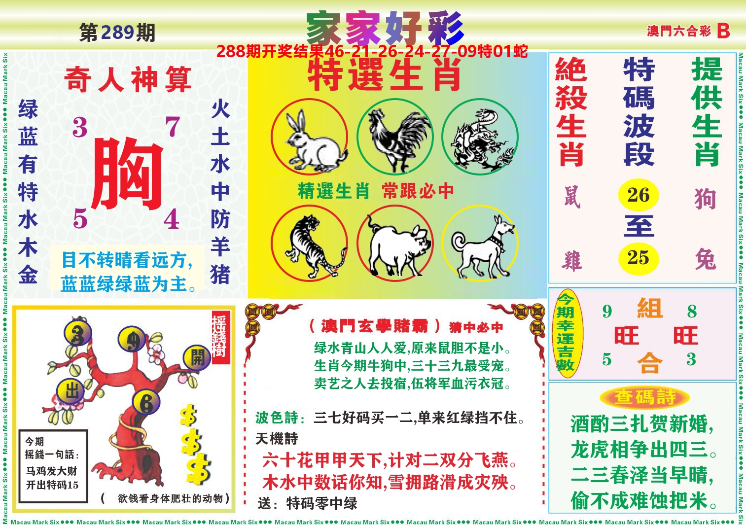 家家好彩B 第289期