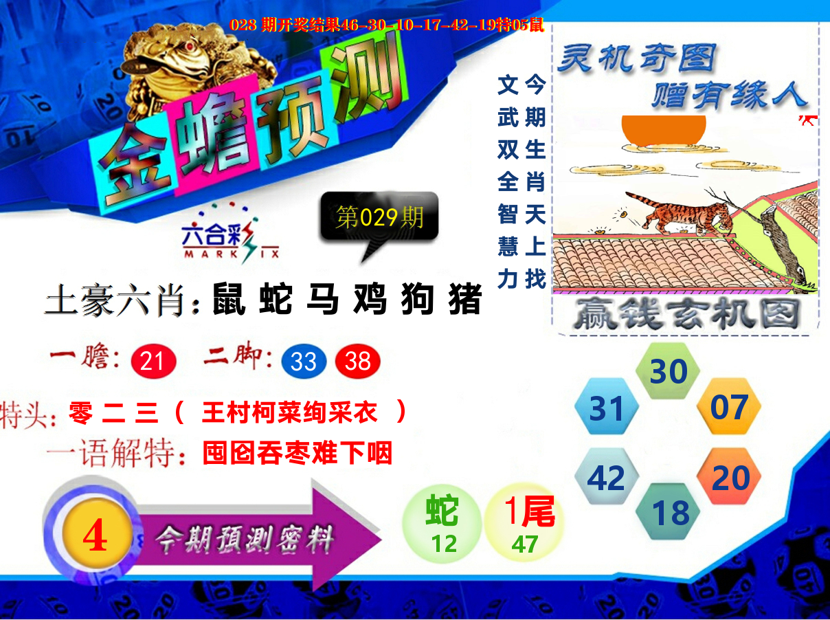 金蟾预测 第29期