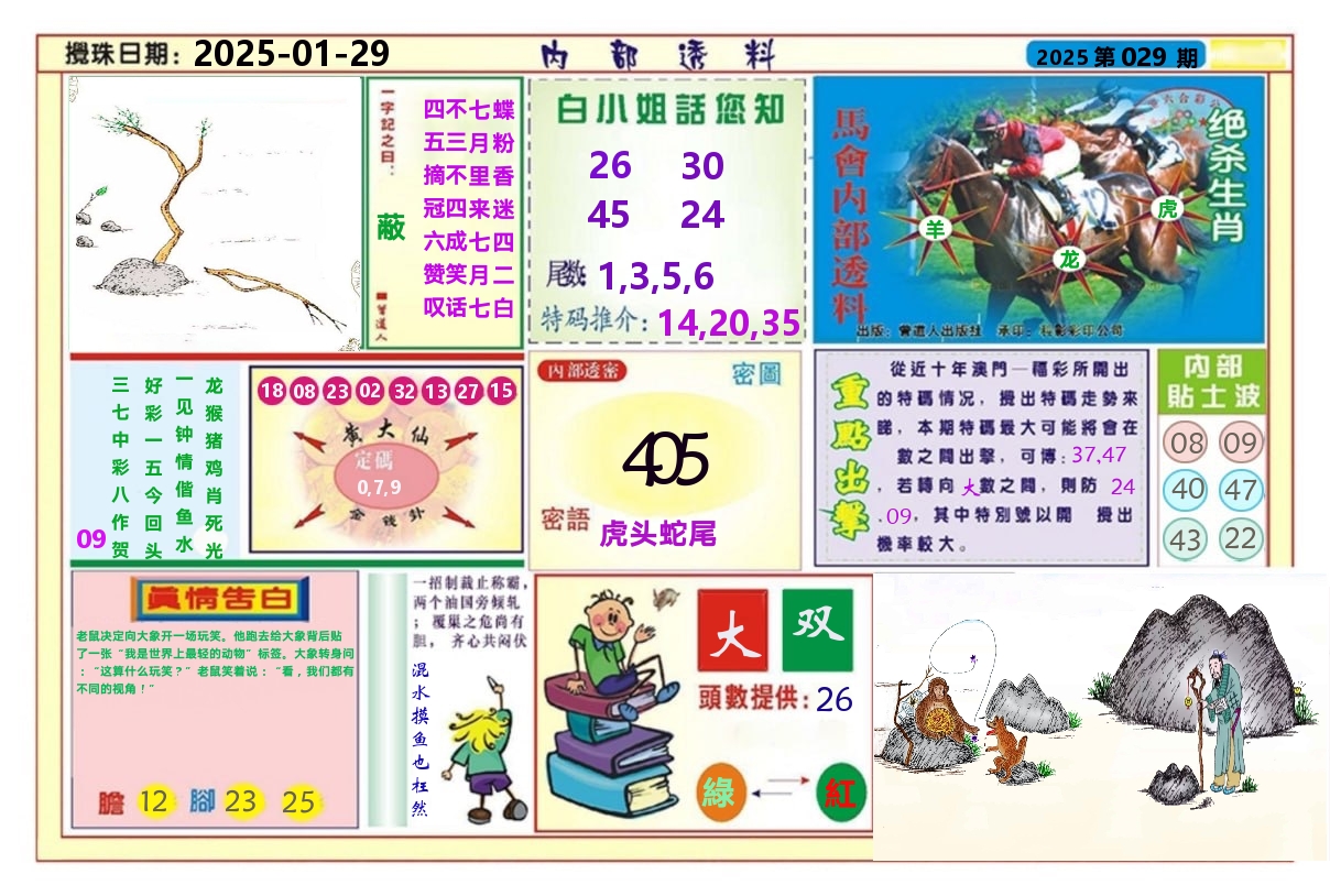 澳门内部透料A 第29期