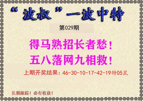 波叔中特 第29期
