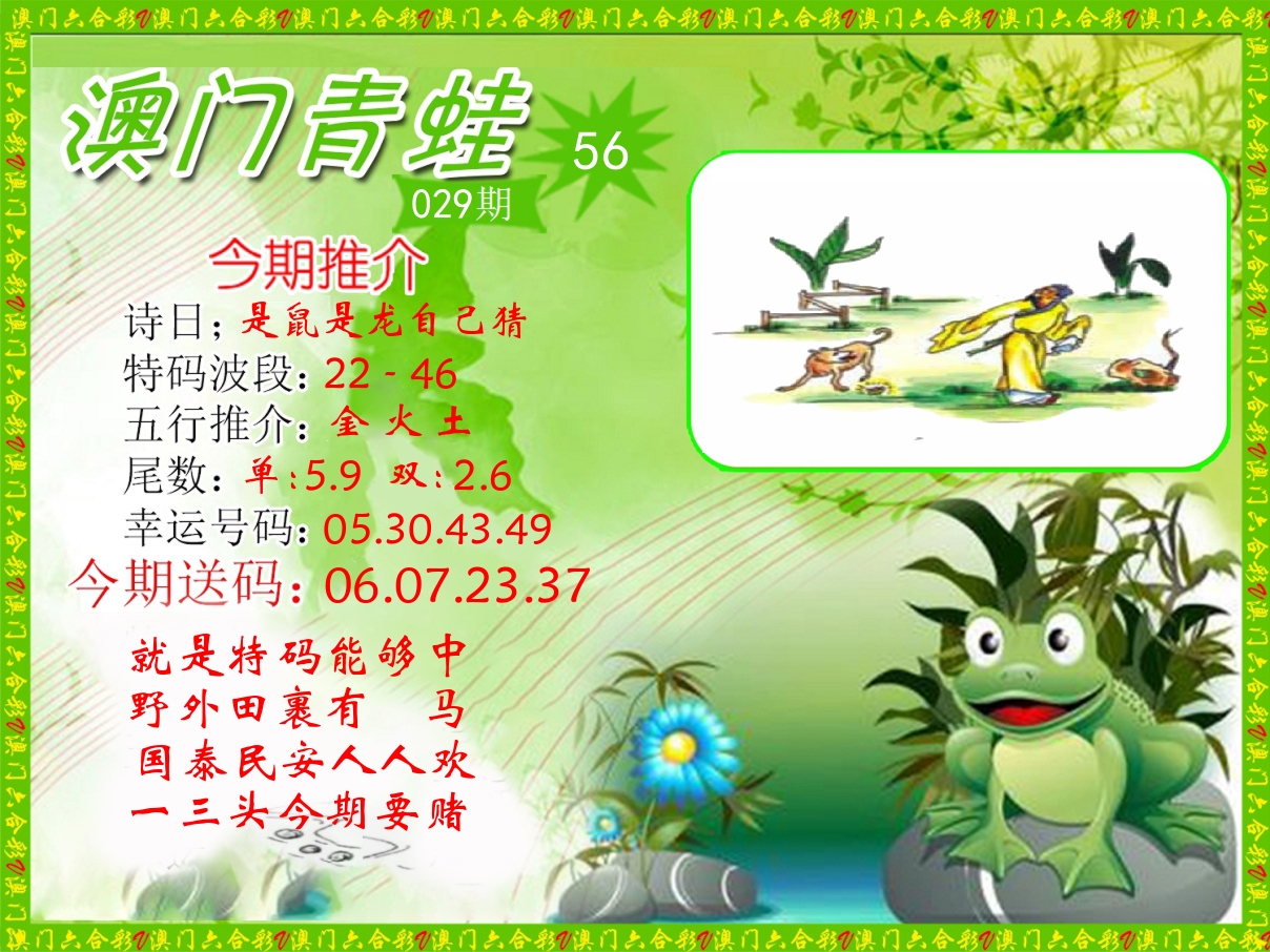 青蛙系列56 第29期