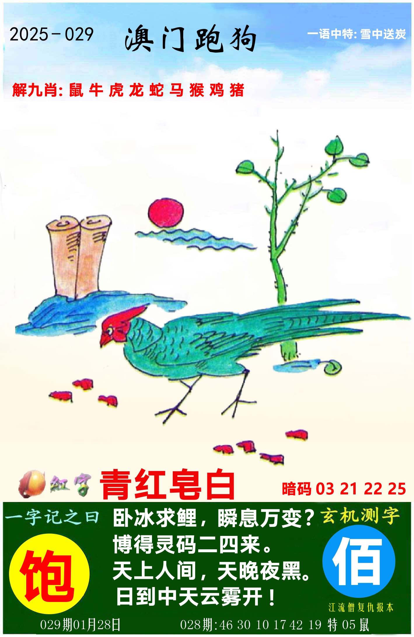 澳门跑狗图 第29期