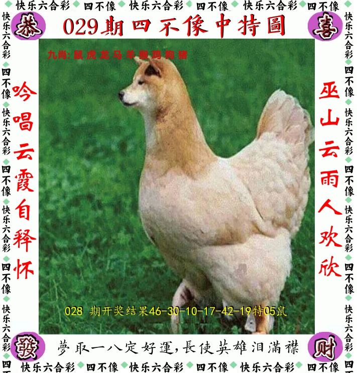 四不像 第29期