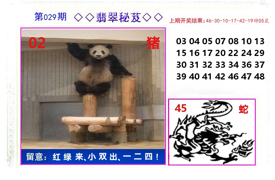翡翠秘芨 第29期