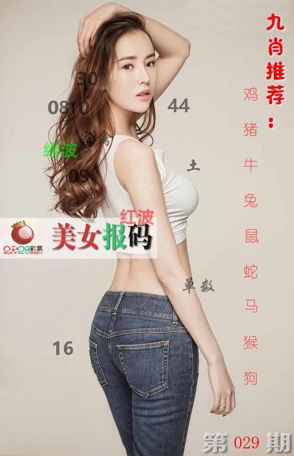 美女报码 第29期