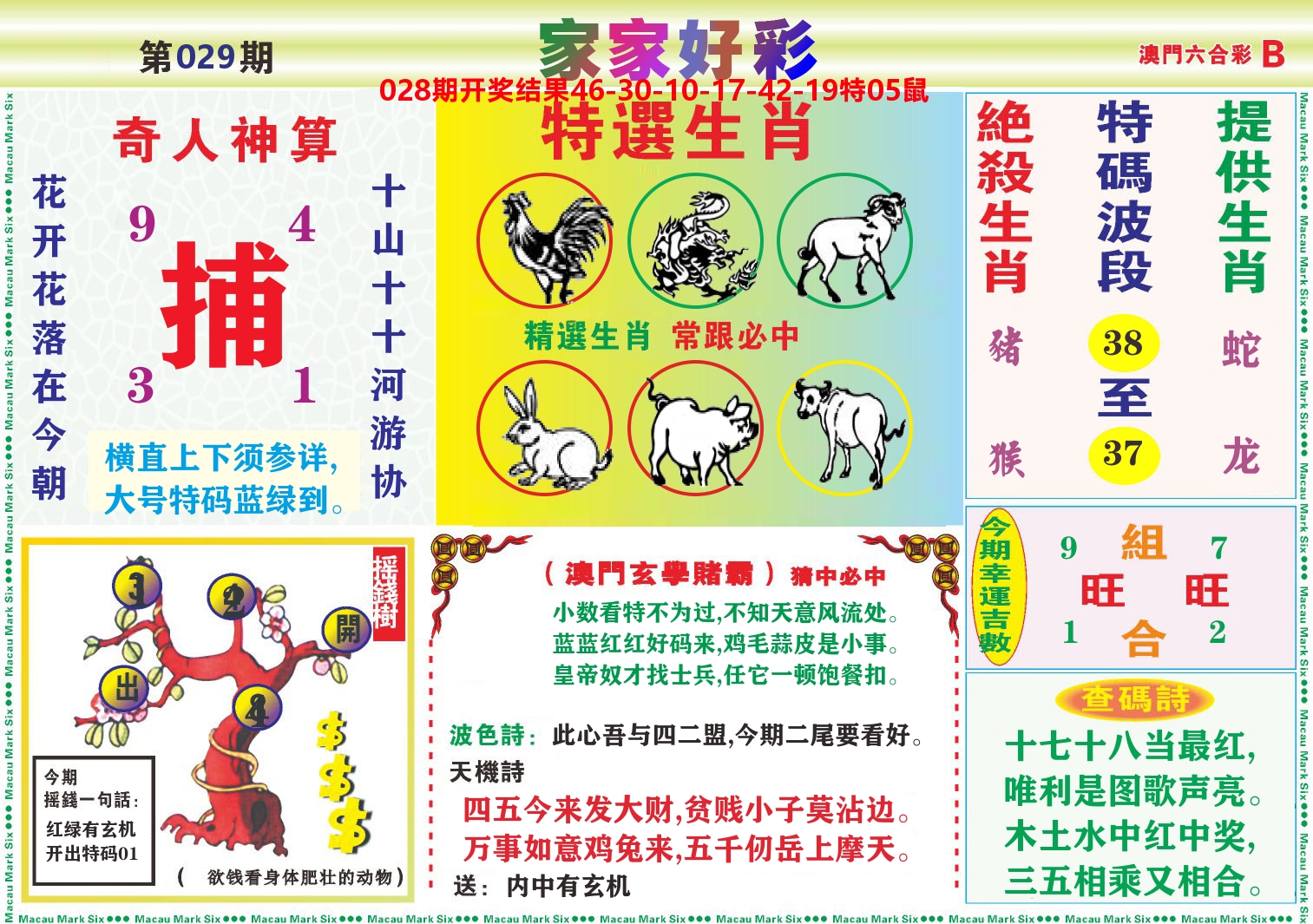 家家好彩B 第29期