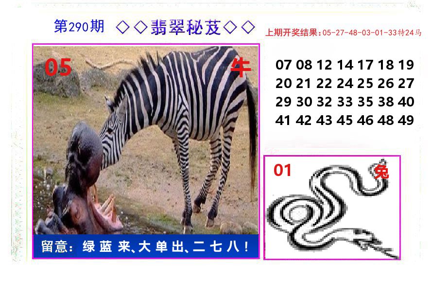 翡翠秘芨 第290期