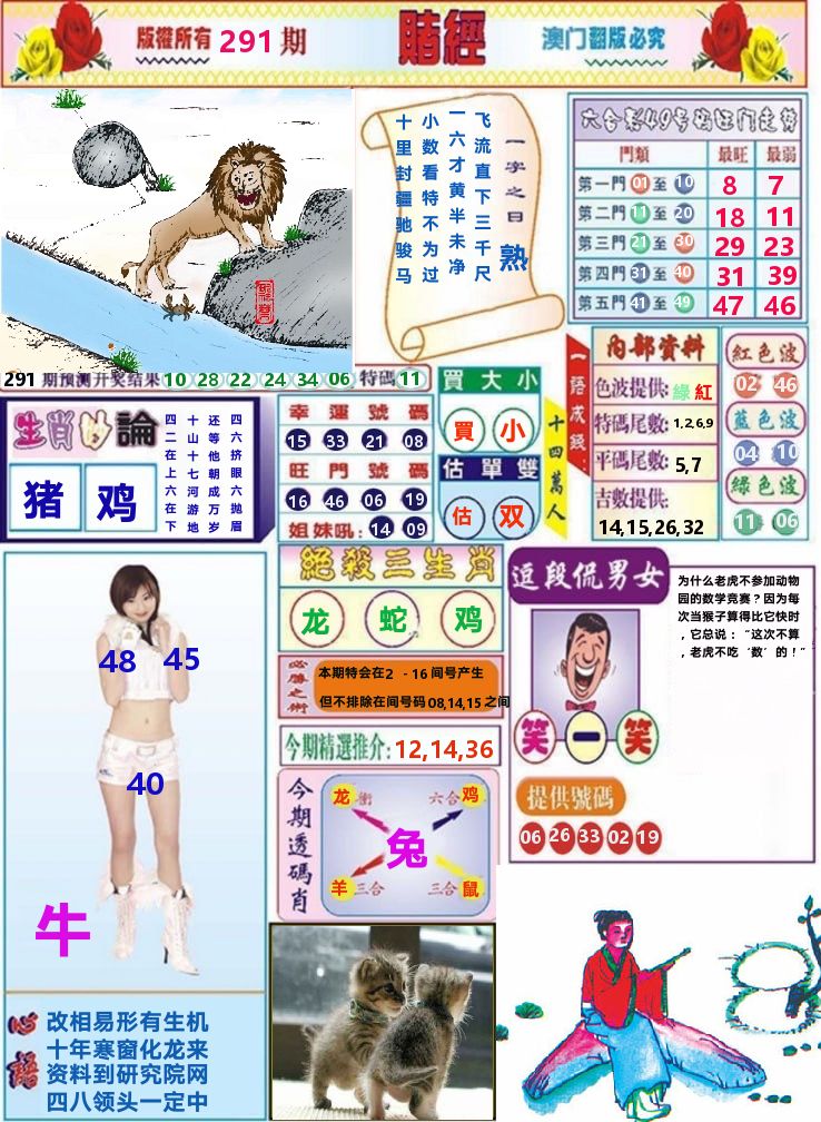 澳门赌经 第291期