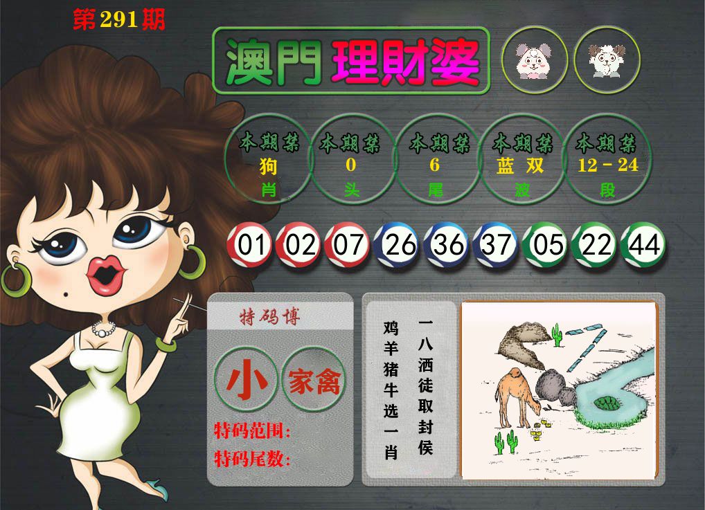 理财婆 第291期