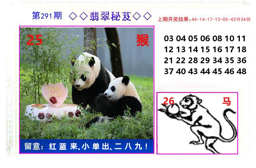 翡翠秘芨 第291期