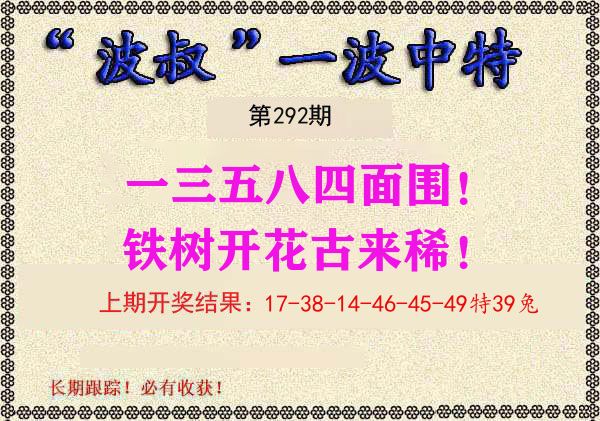 波叔中特 第292期