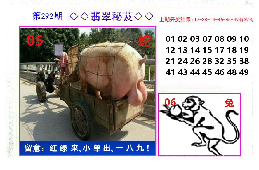 翡翠秘芨 第292期