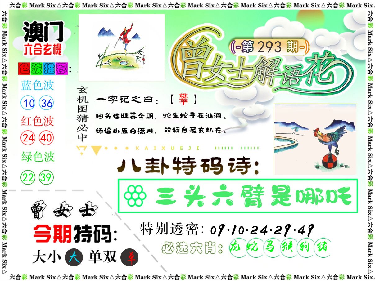 曾女士解语花 第293期