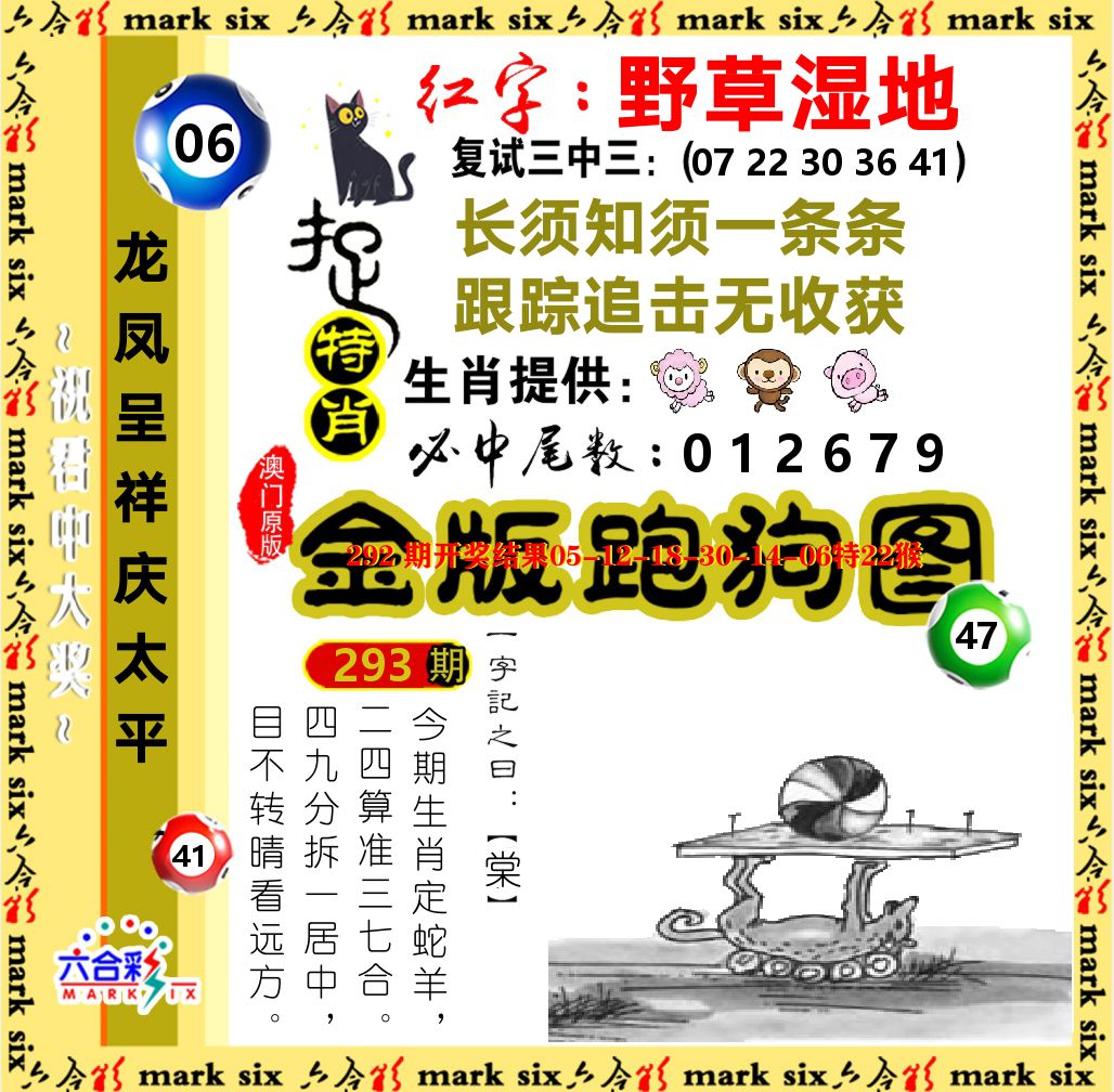 金版跑狗图 第293期