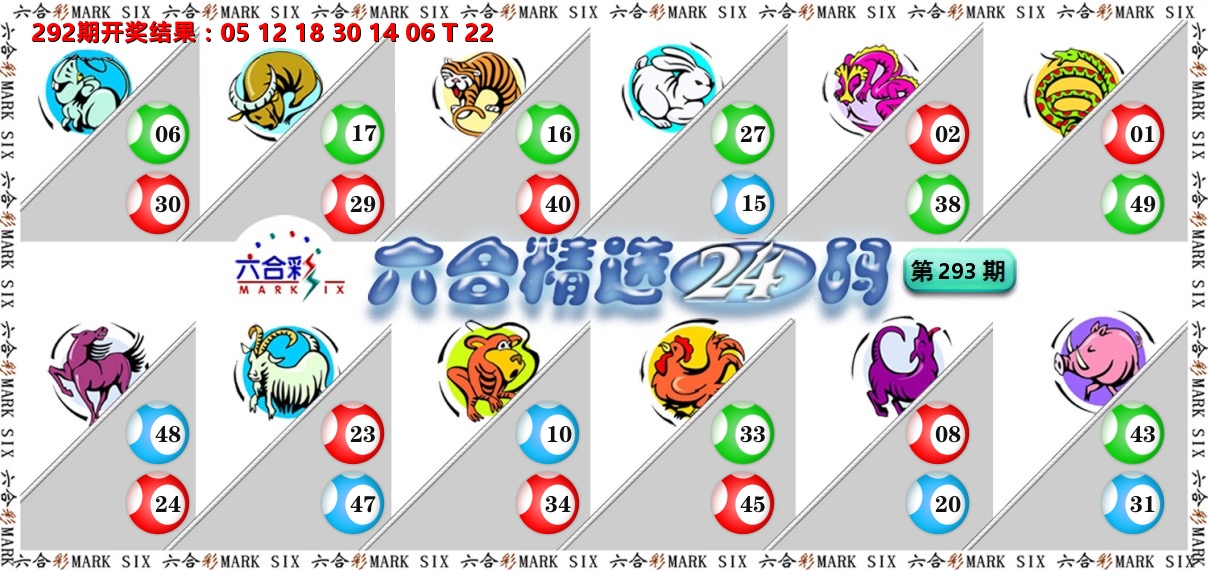 六合精选24码 第293期