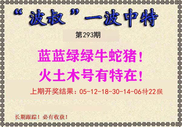 波叔中特 第293期