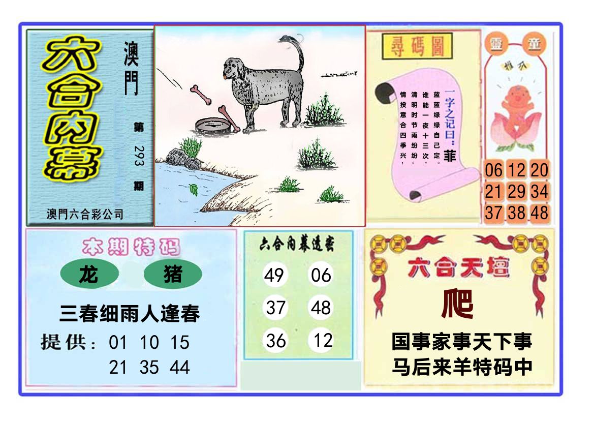 六合内幕 第293期