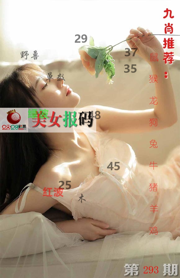 美女报码 第293期