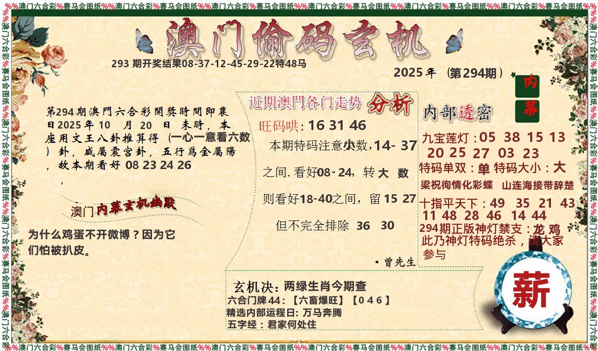 偷码玄机 第294期