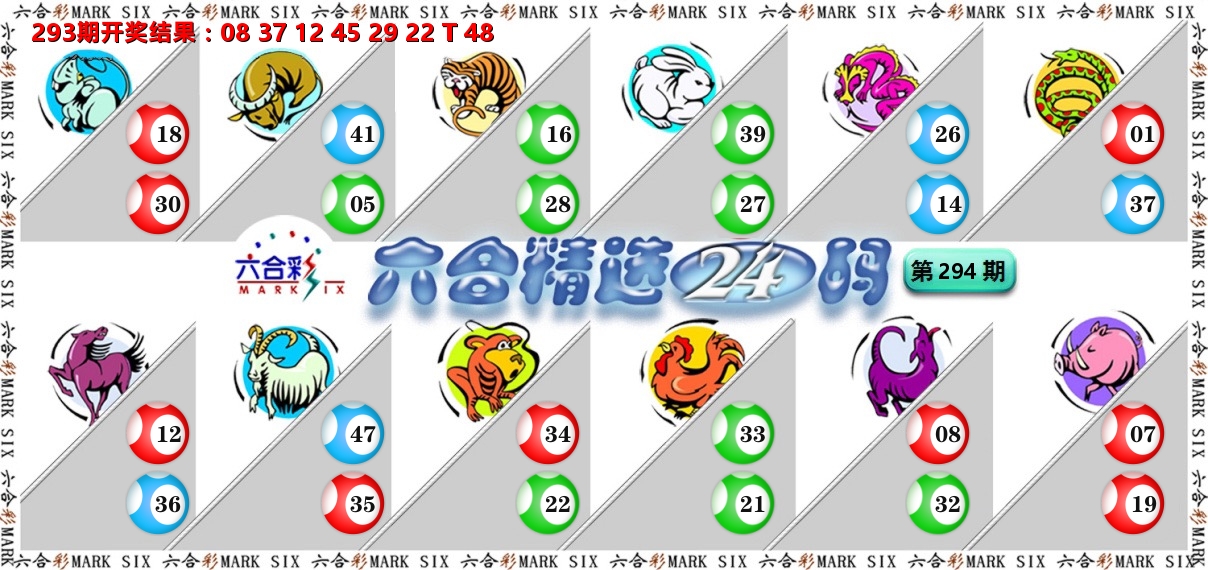 六合精选24码 第294期