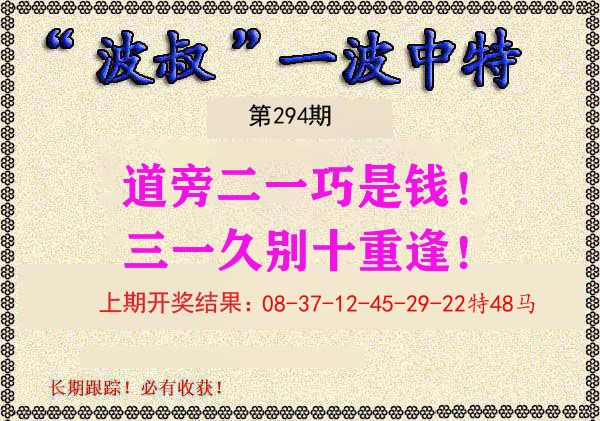 波叔中特 第294期