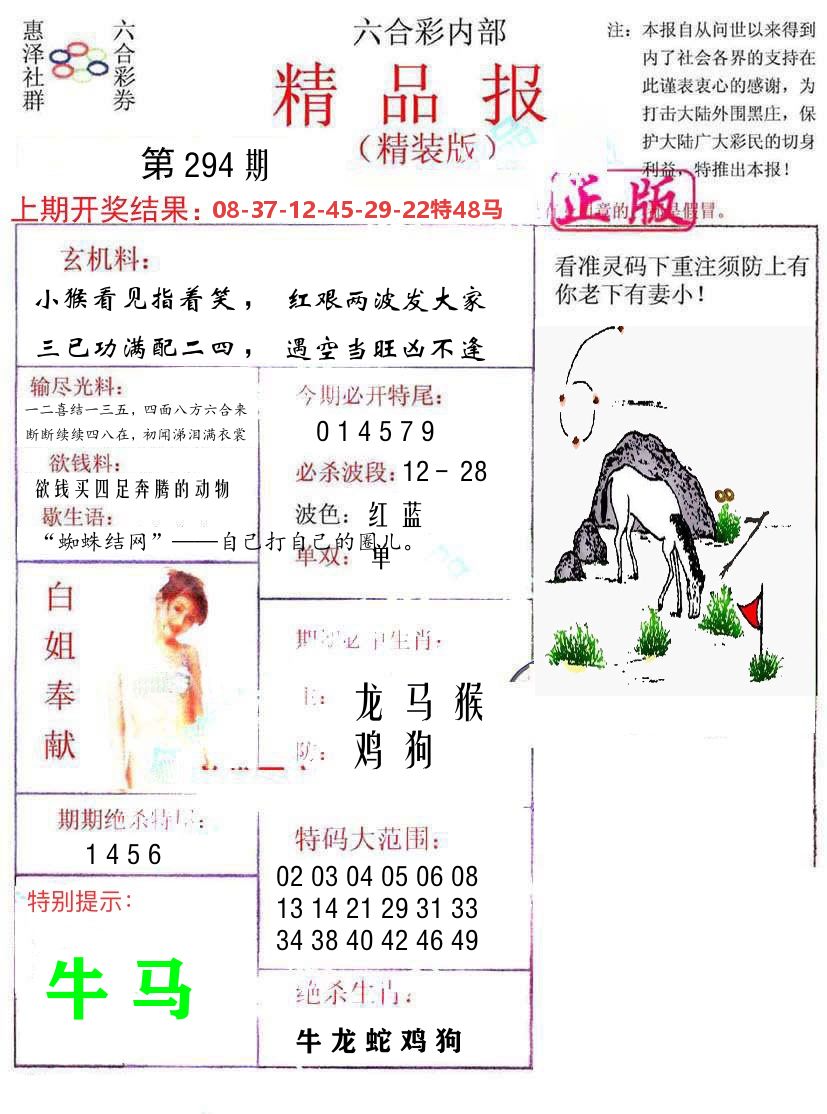 精品报 第294期