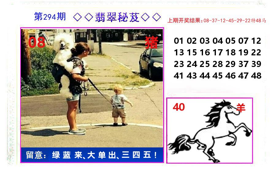 翡翠秘芨 第294期