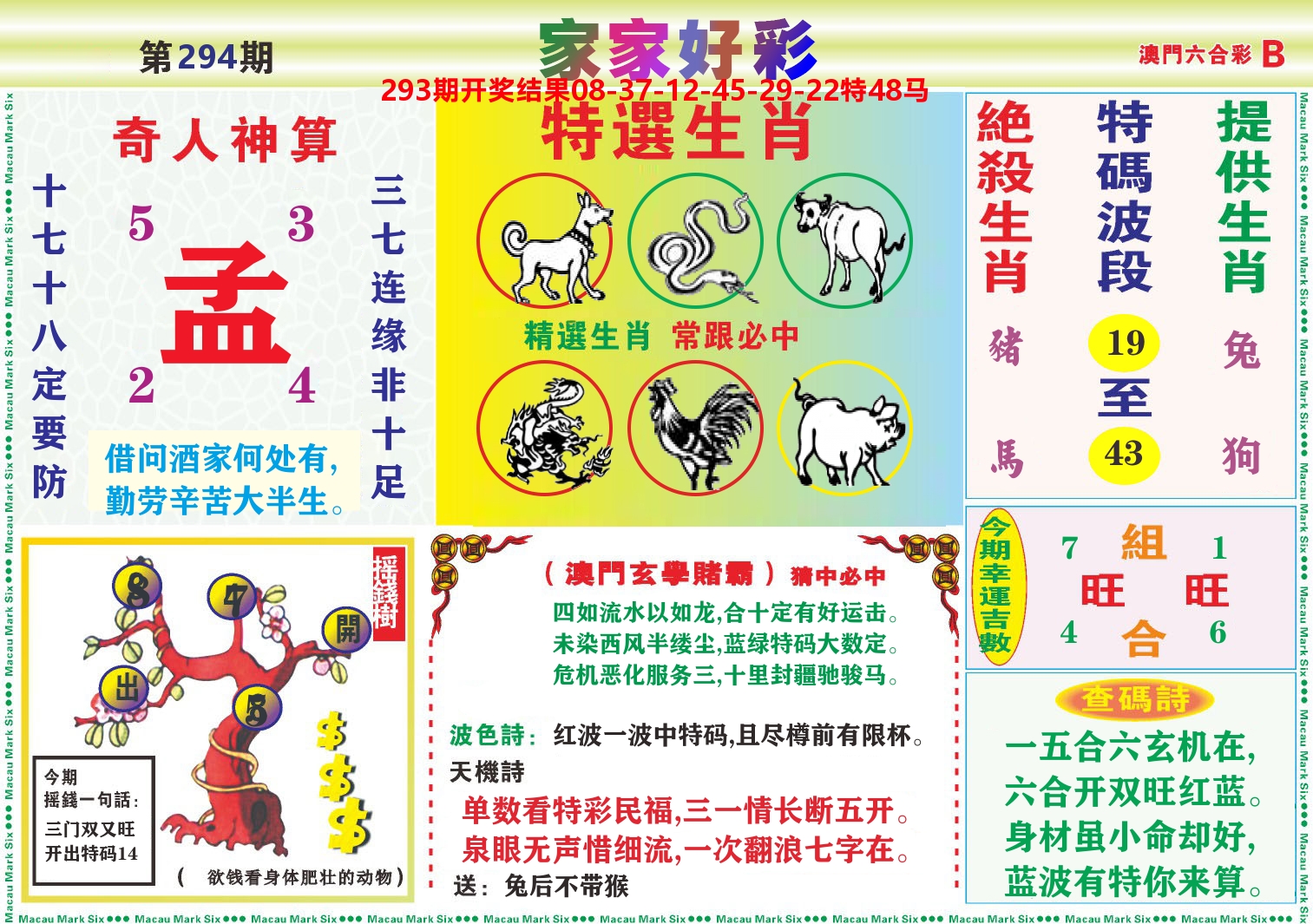 家家好彩B 第294期