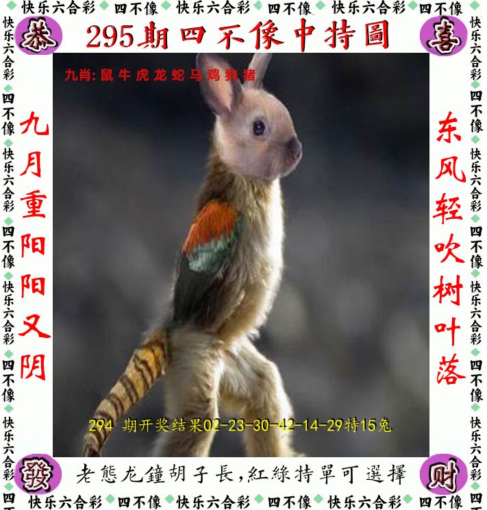 四不像 第295期