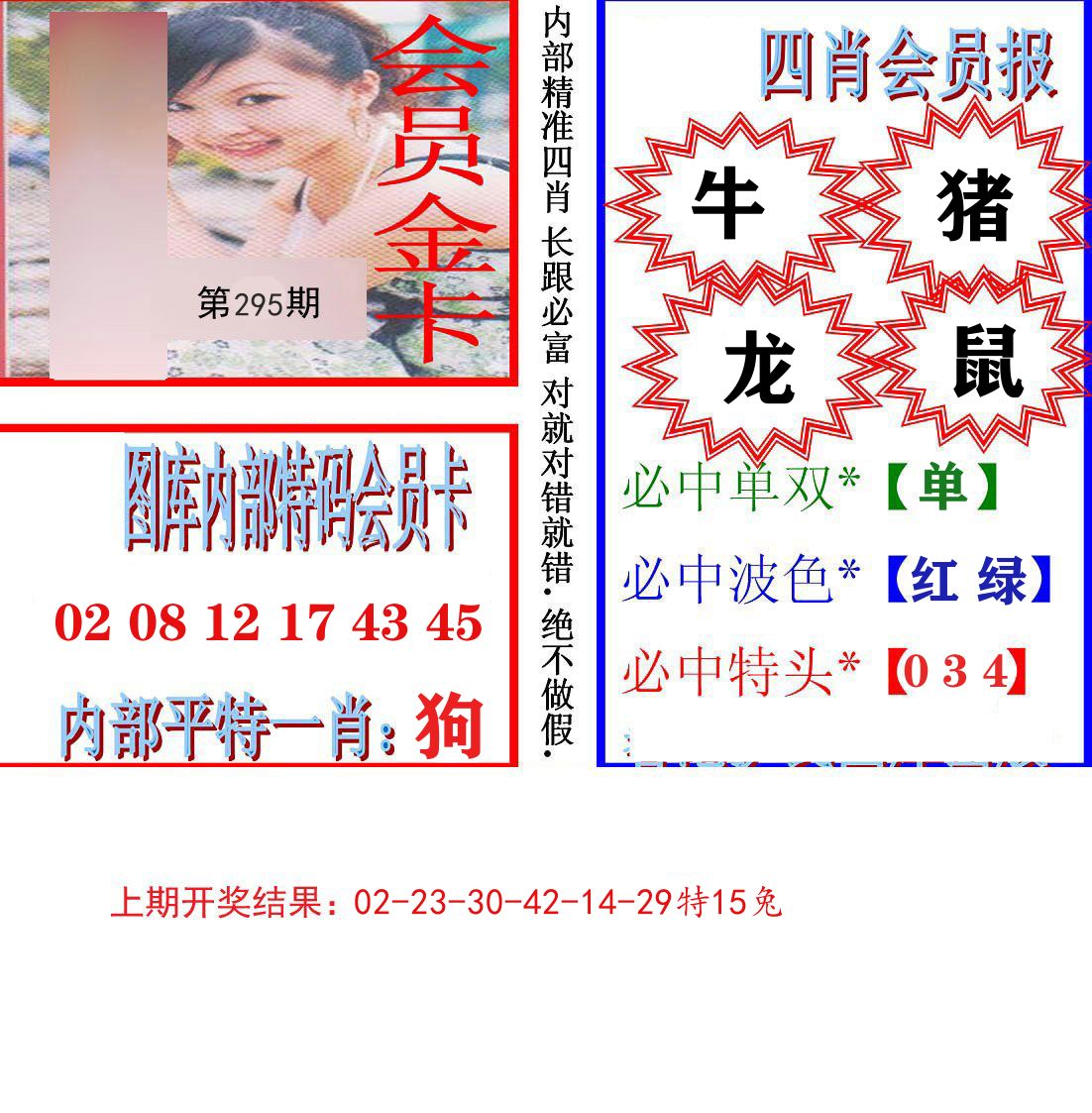 内部会员报 第295期