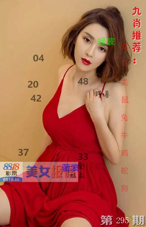 美女报码 第295期