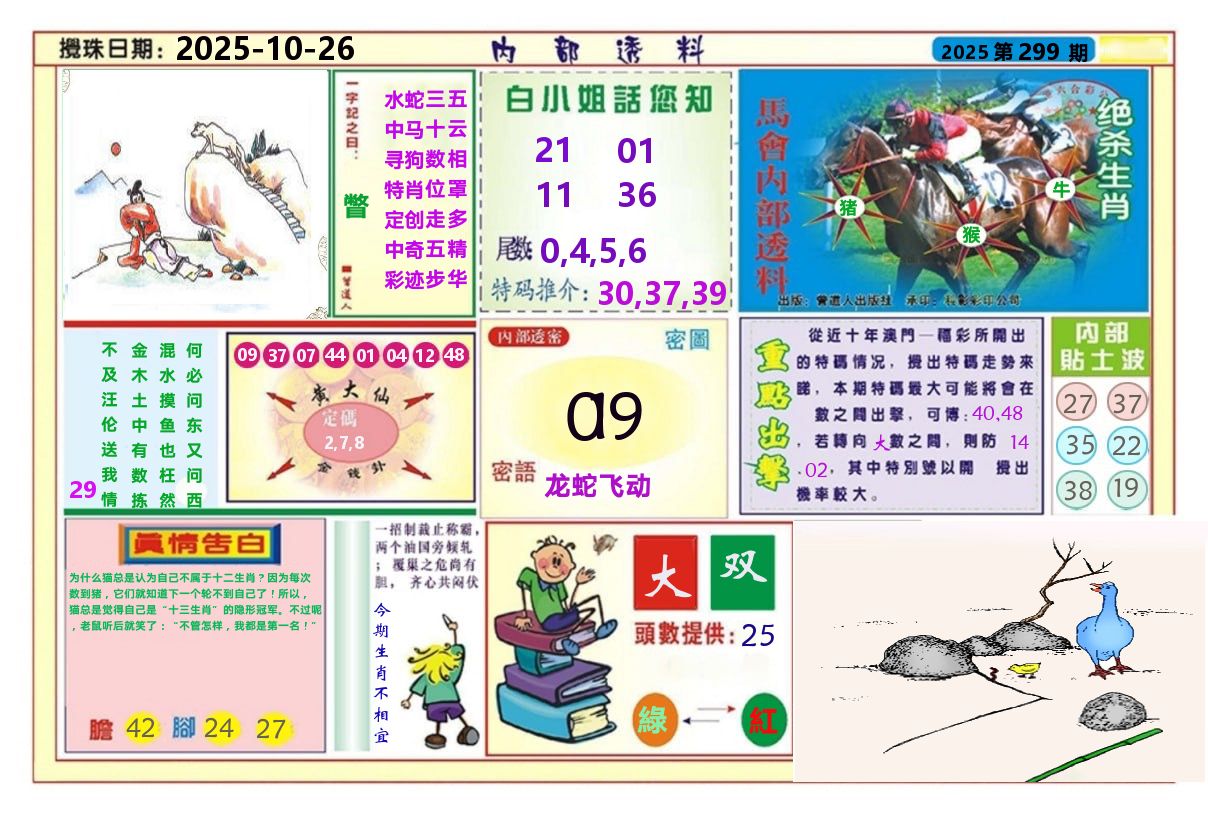 澳门内部透料A 第299期