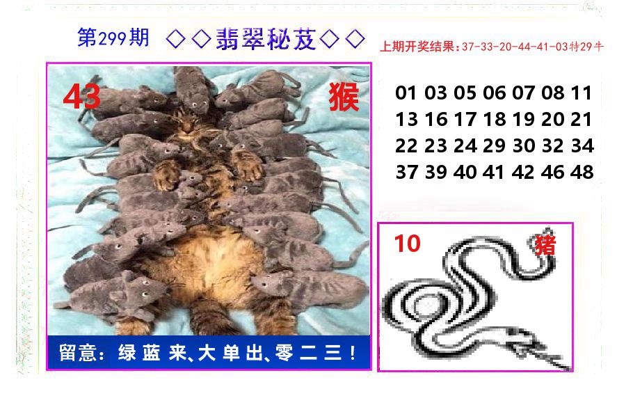 翡翠秘芨 第299期