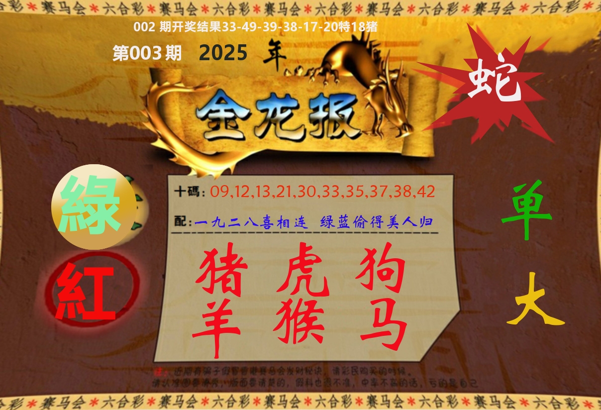金龙报 第3期