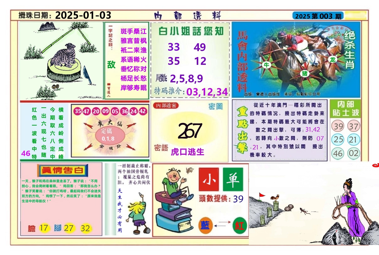 澳门内部透料A 第3期