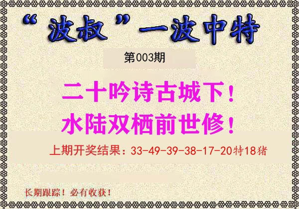 波叔中特 第3期