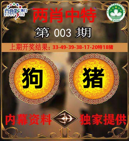 两肖中特 第3期