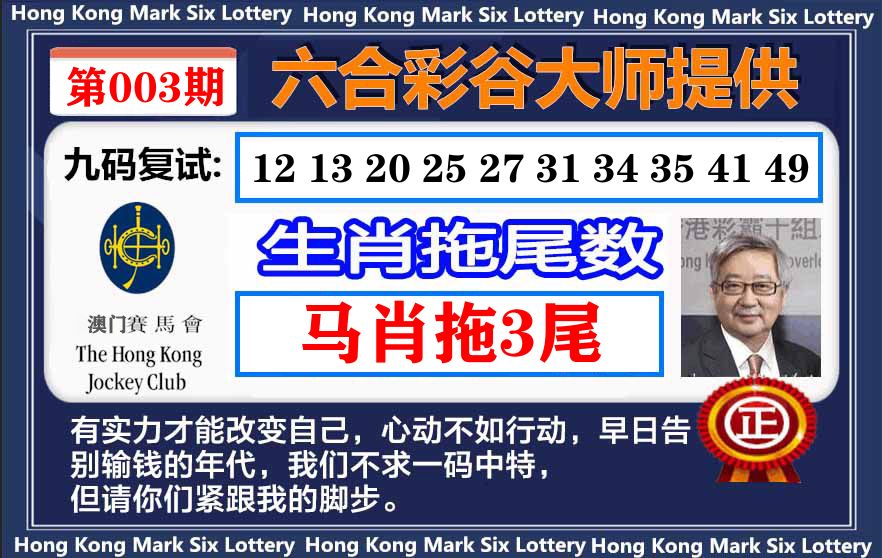 谷大师九码复式 第3期