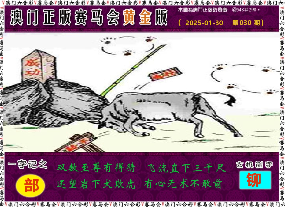 赛马会黄金版 第30期