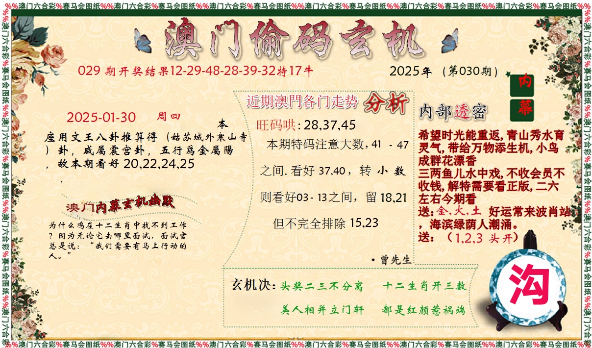 偷码玄机 第30期