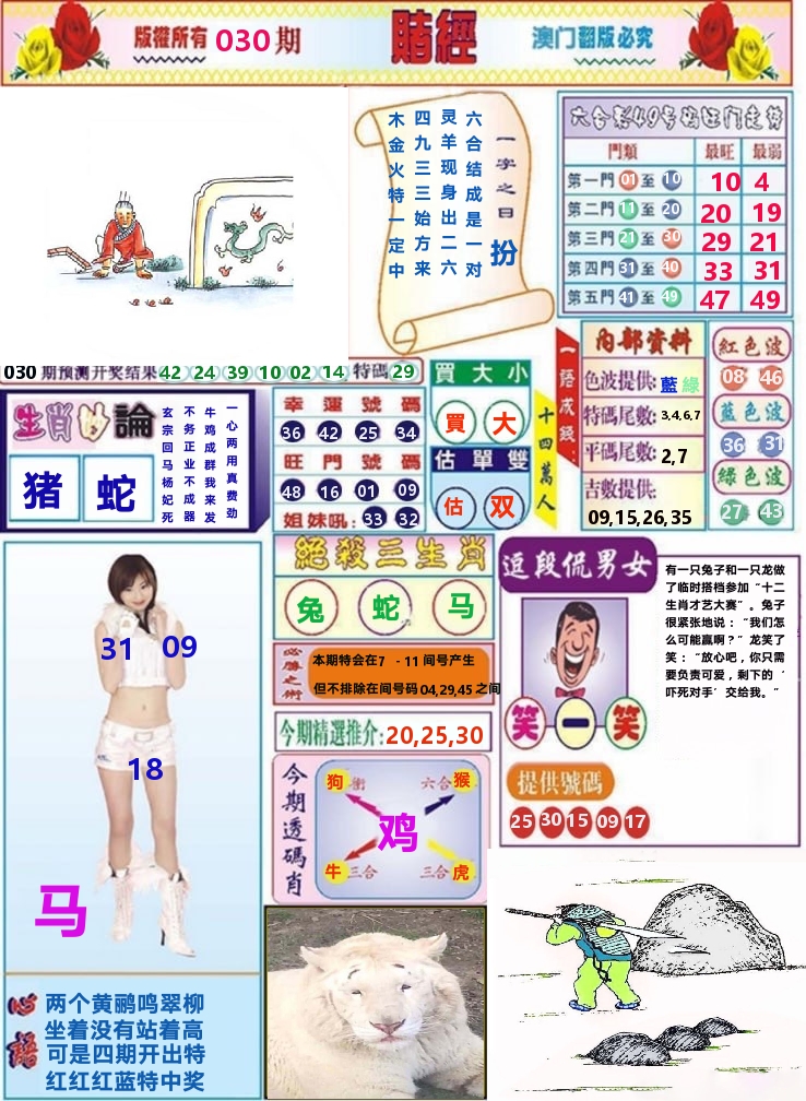 澳门赌经 第30期