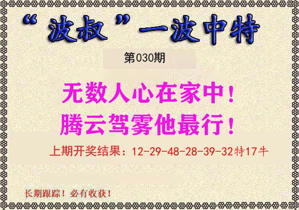 波叔中特 第30期