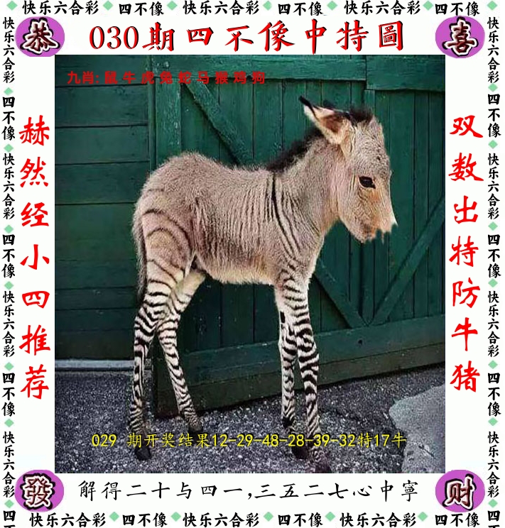 四不像 第30期