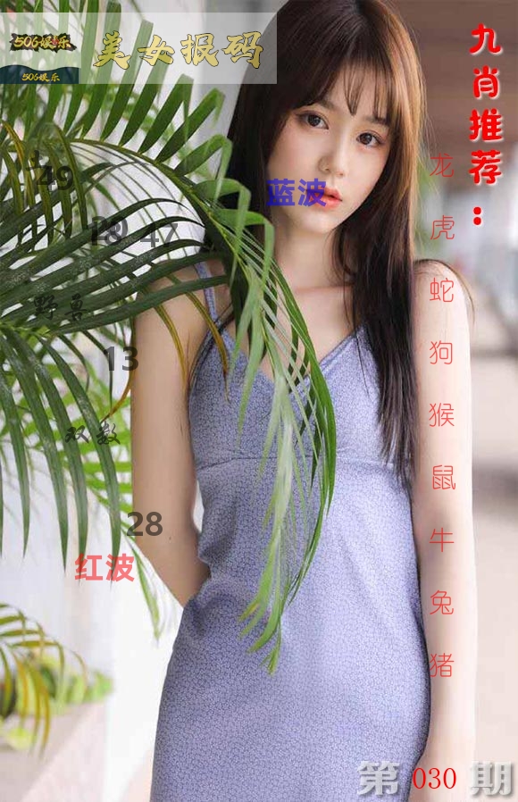 美女报码 第30期