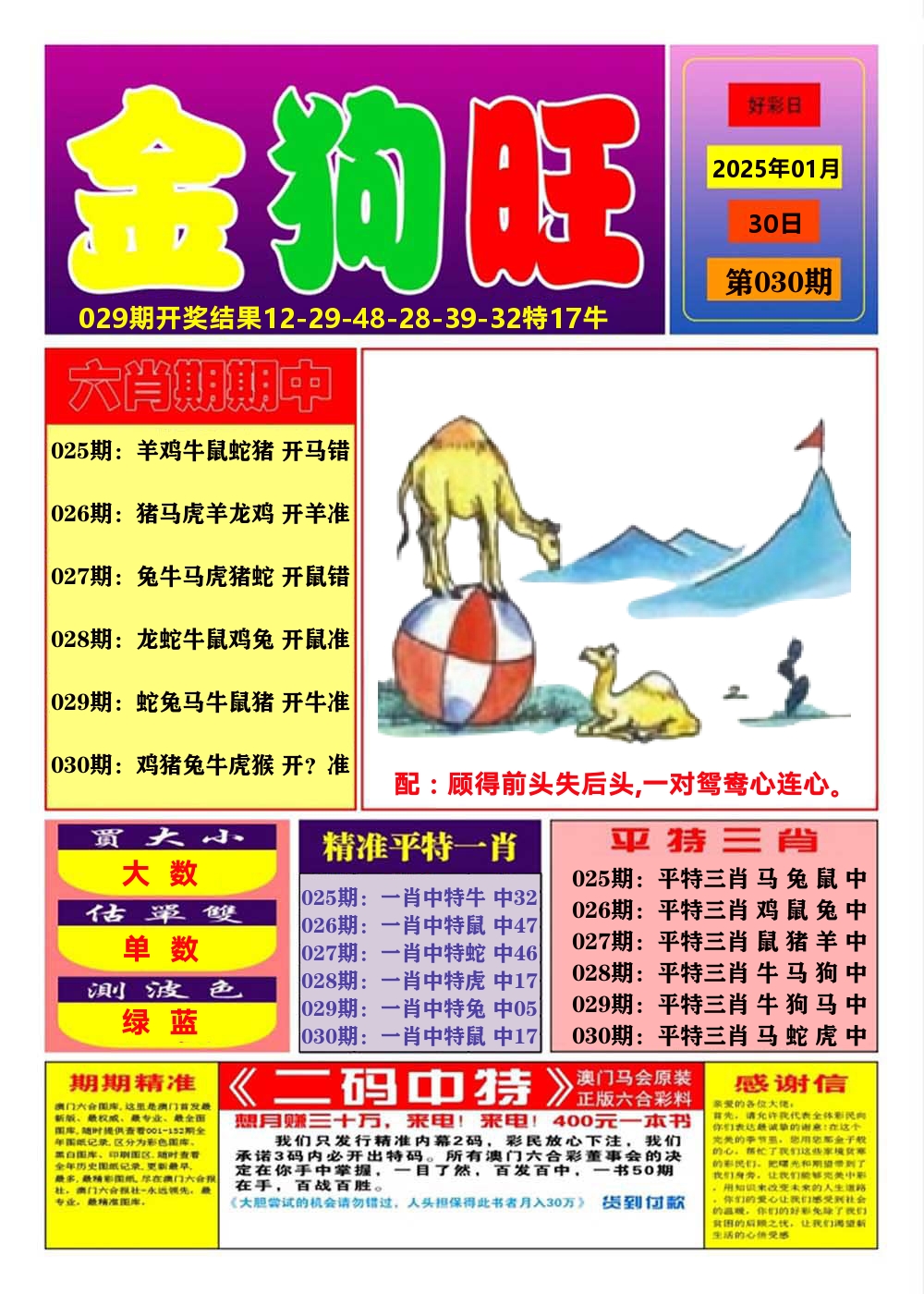 澳门金狗旺A 第30期