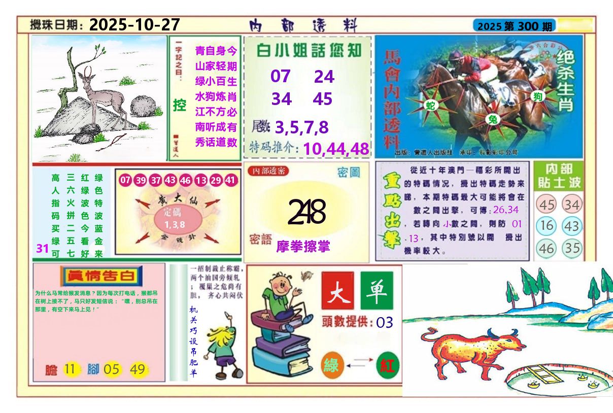 澳门内部透料A 第300期