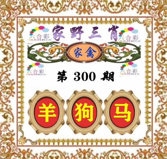 家野三肖 第300期