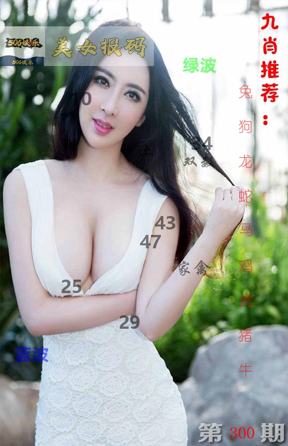 美女报码 第300期