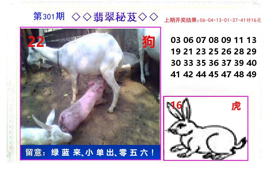 翡翠秘芨 第301期